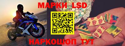 прущие грибы Бийск