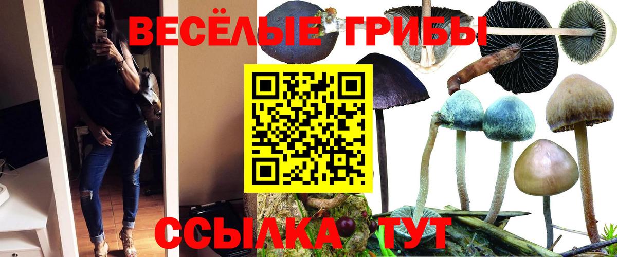 Псилоцибиновые грибы ЛСД Бахчисарай